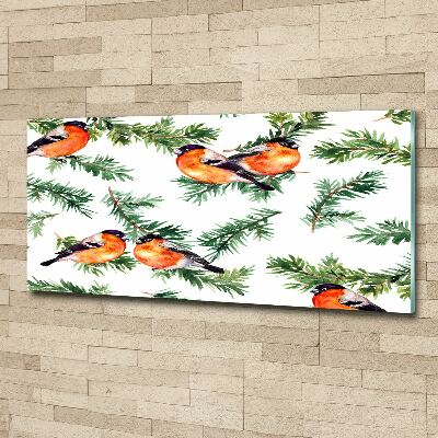 Schilderij op acrylglas Roodborstje op een naaldboom