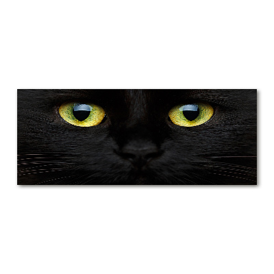 Schilderij op acrylglas Kattenogen