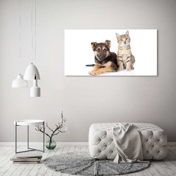 Plexiglas schilderij Hond en kat