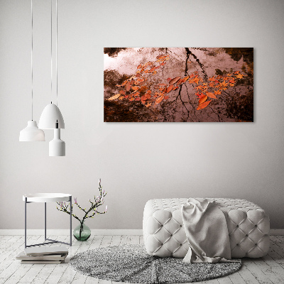 Foto op plexiglas Bladeren op het water