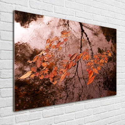 Foto op plexiglas Bladeren op het water