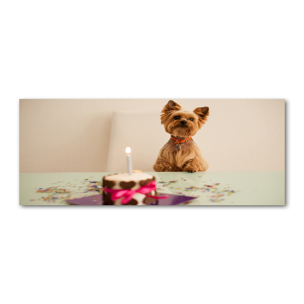 Foto op plexiglas Hond met taart