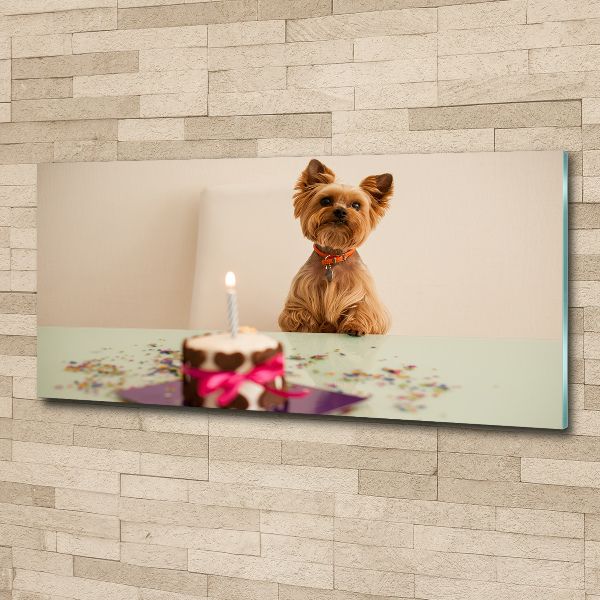 Foto op plexiglas Hond met taart