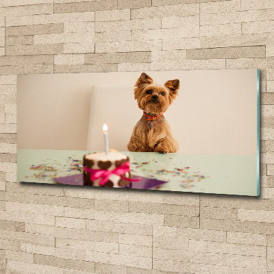 Foto op plexiglas Hond met taart