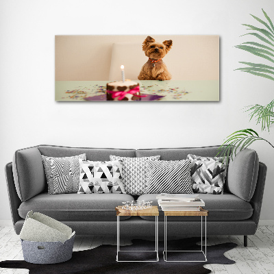Foto op plexiglas Hond met taart