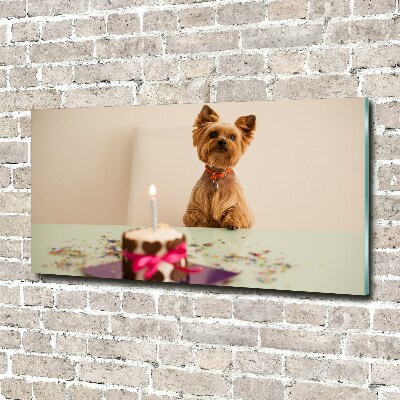 Foto op plexiglas Hond met taart