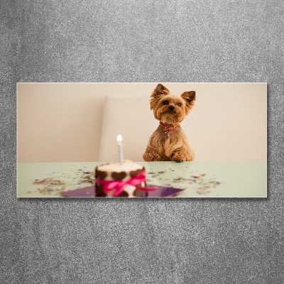 Foto op plexiglas Hond met taart