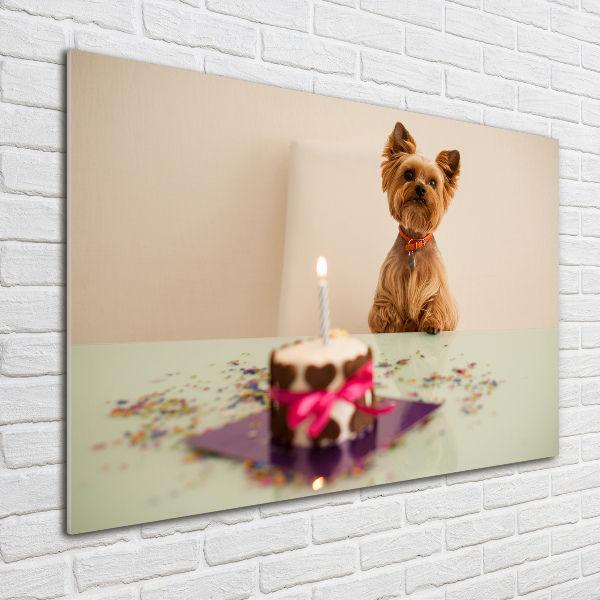 Foto op plexiglas Hond met taart