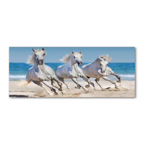 Foto in plexiglas Witte paardenstrand