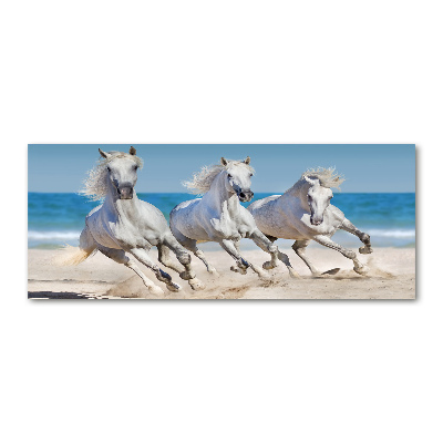 Foto in plexiglas Witte paardenstrand