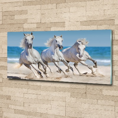 Foto in plexiglas Witte paardenstrand