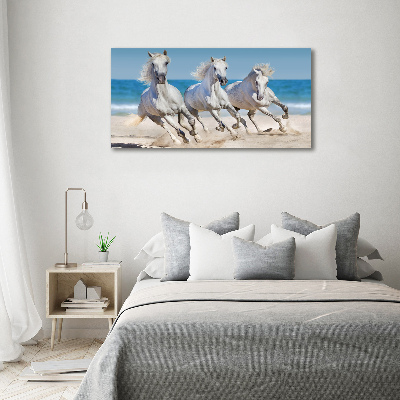 Foto in plexiglas Witte paardenstrand