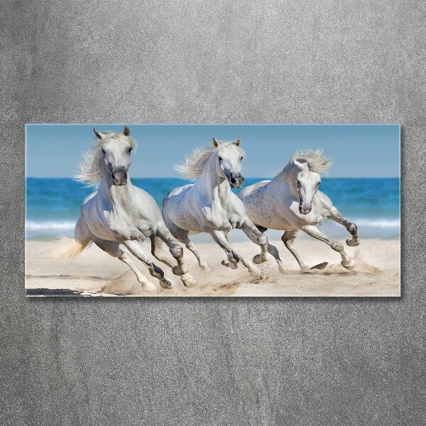 Foto in plexiglas Witte paardenstrand