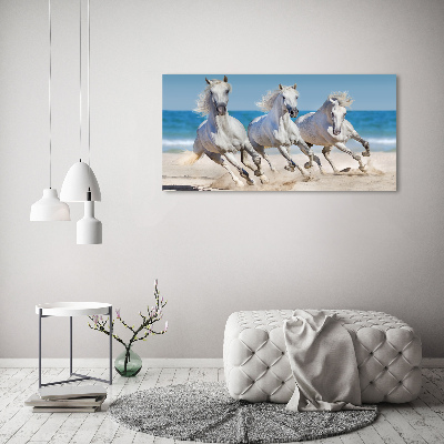 Foto in plexiglas Witte paardenstrand