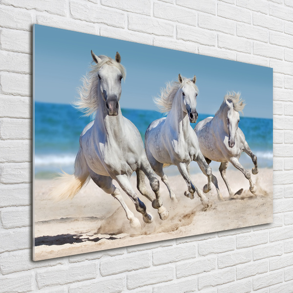 Foto in plexiglas Witte paardenstrand
