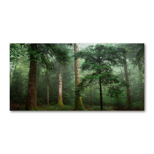Foto op plexiglas Mist in het bos