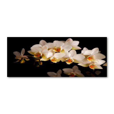 Foto plexiglas Orchidee