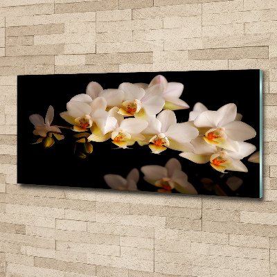 Foto plexiglas Orchidee