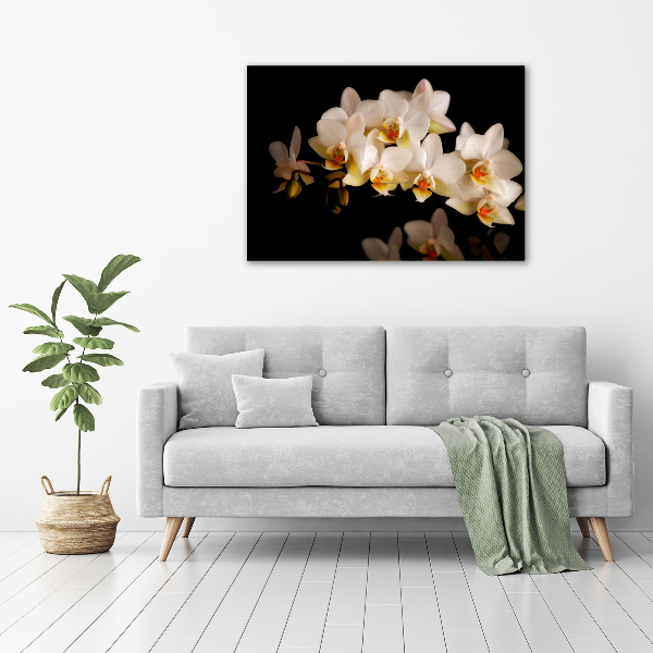 Foto plexiglas Orchidee