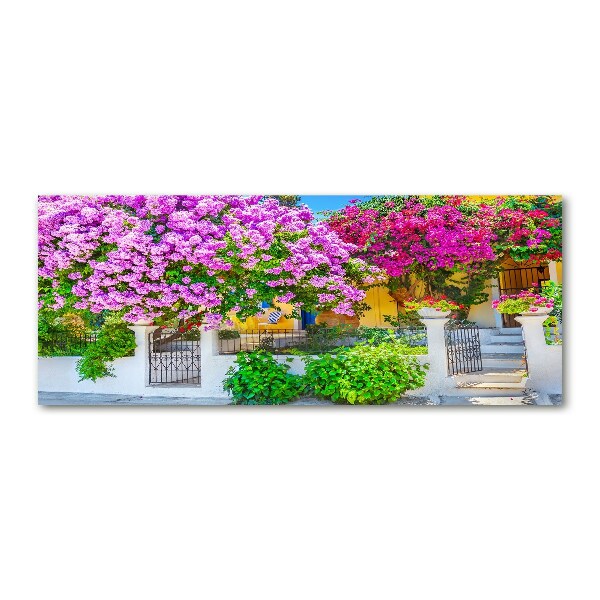 Foto in plexiglas Huis met bougainvillea