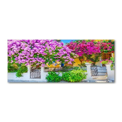 Foto in plexiglas Huis met bougainvillea