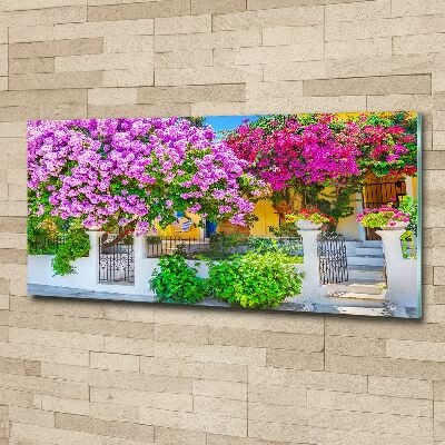 Foto in plexiglas Huis met bougainvillea