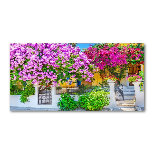 Foto in plexiglas Huis met bougainvillea