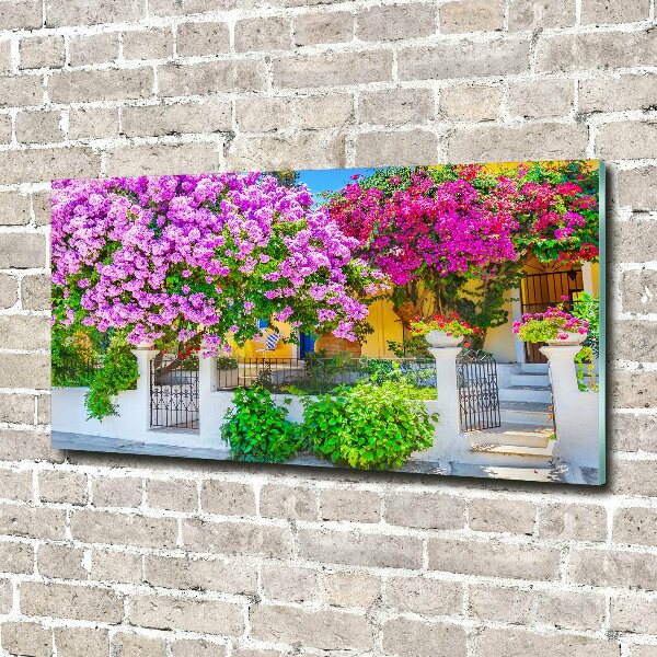 Foto in plexiglas Huis met bougainvillea