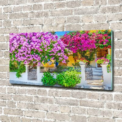 Foto in plexiglas Huis met bougainvillea