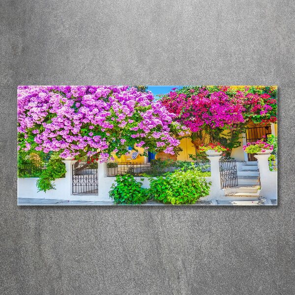 Foto in plexiglas Huis met bougainvillea