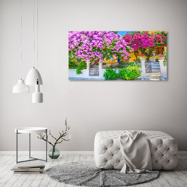 Foto in plexiglas Huis met bougainvillea