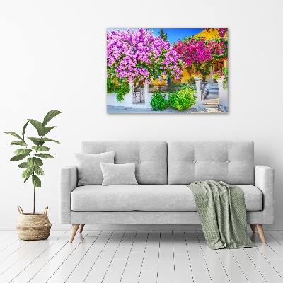 Foto in plexiglas Huis met bougainvillea