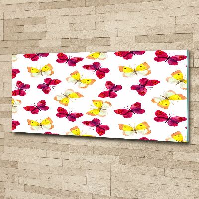 Obraz zdjęcie szkło akryl Motyle i kwiaty