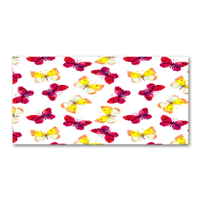 Plexiglas schilderij Vlinders en bloemen