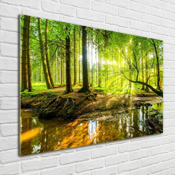Schilderij op acrylglas Een vijver in het bos
