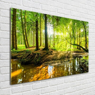 Schilderij op acrylglas Een vijver in het bos