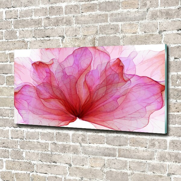 Plexiglas schilderij Roze bloem