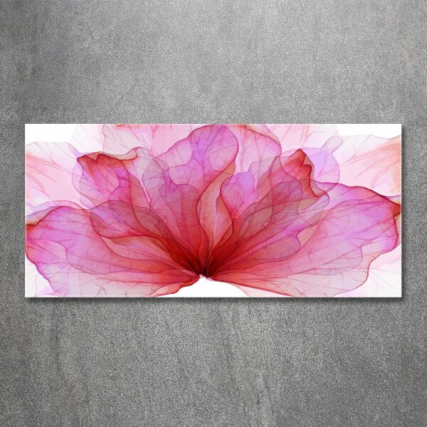 Plexiglas schilderij Roze bloem