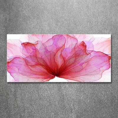 Plexiglas schilderij Roze bloem