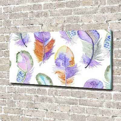 Foto in plexiglas Kleurrijke veren