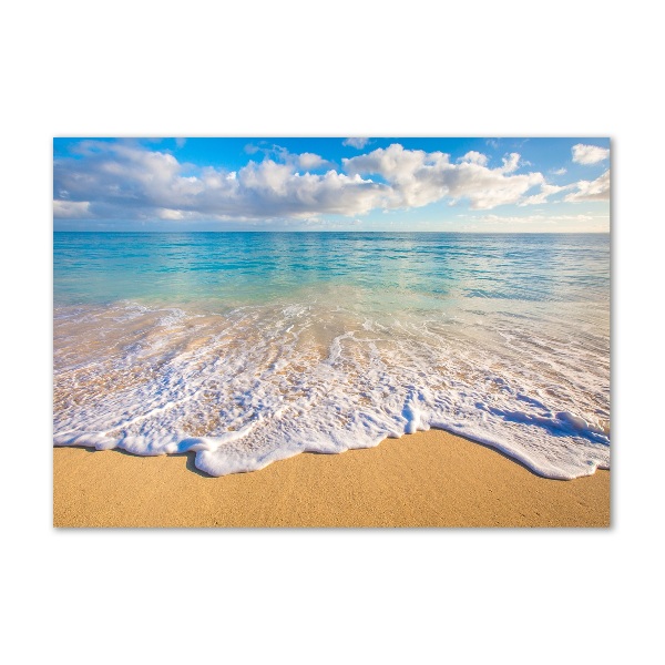 Plexiglas foto Hawaiiaans strand