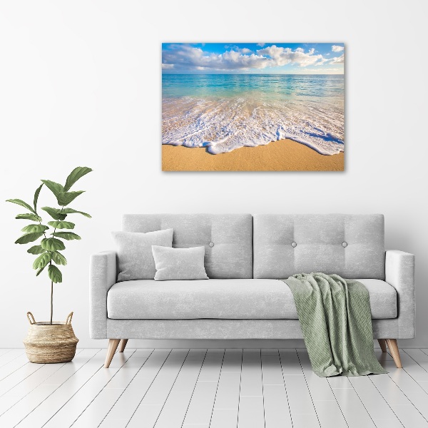 Plexiglas foto Hawaiiaans strand