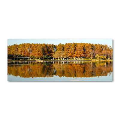 Foto obraz szkło akryl Las nad jeziorem