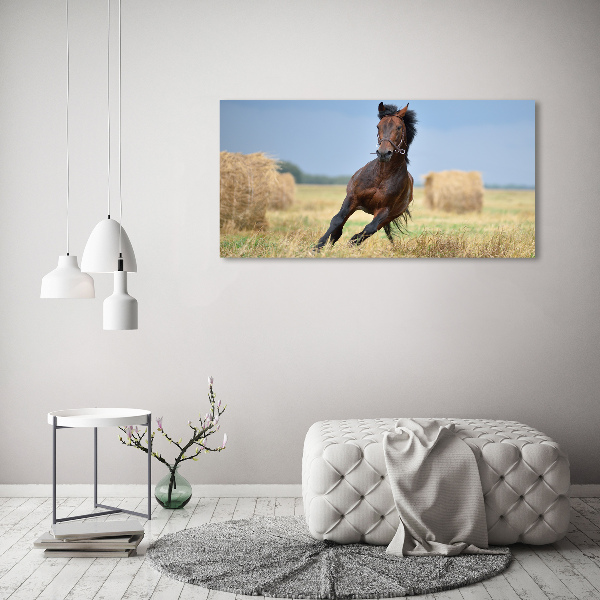 Foto plexiglas Een galopperend paard