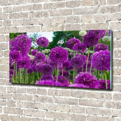 Schilderij op acrylglas Knoflookbloemen