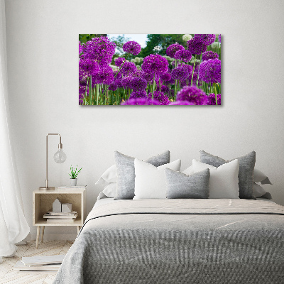 Schilderij op acrylglas Knoflookbloemen