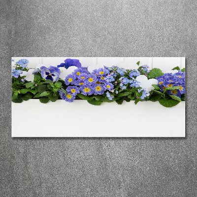Plexiglas schilderij Blauwe bloemen
