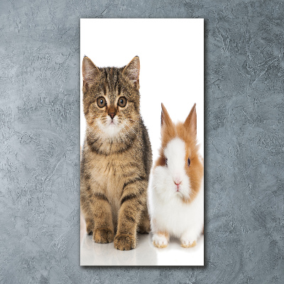 Staand plexiglas foto Huisdieren