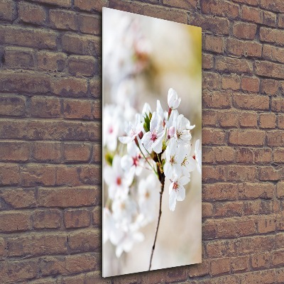 Staand plexiglas foto Kersenbloesems