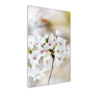 Staand plexiglas foto Kersenbloesems